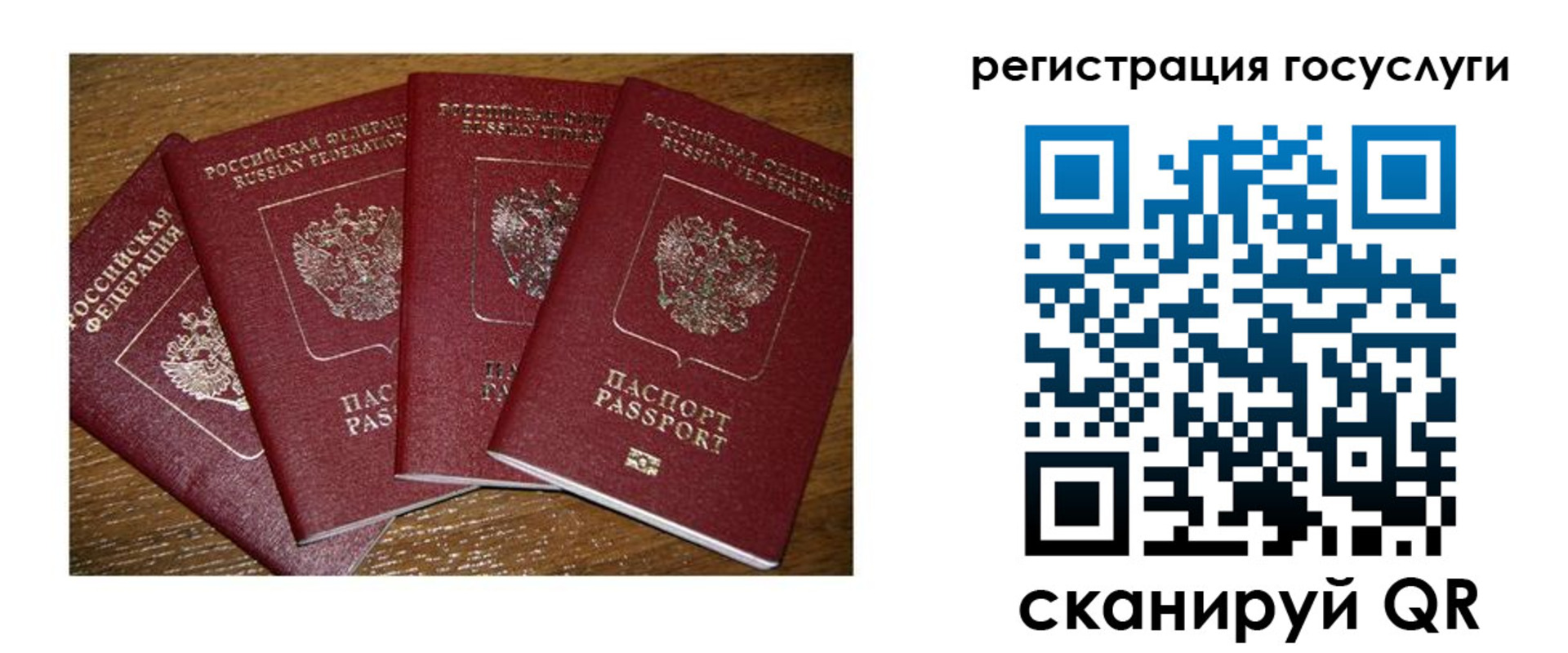 временная регистрация гарантия в Новошахтинске